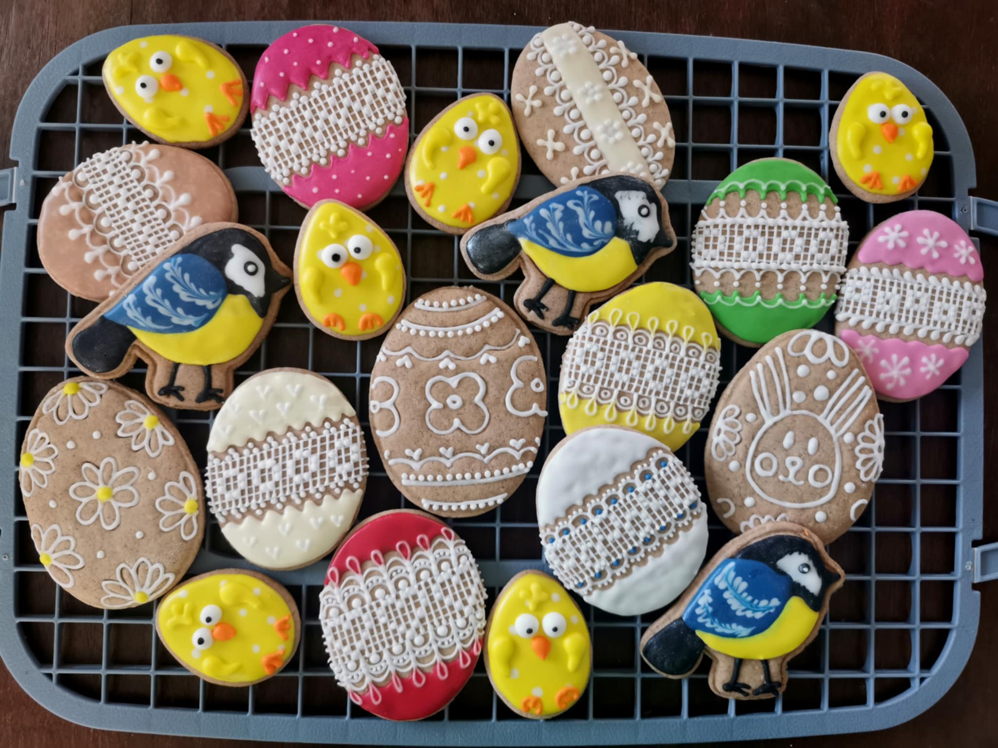 Модли за колачиња